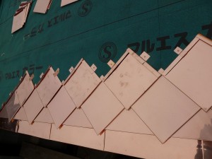 P1010295