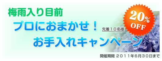 梅雨入り目前 プロにおまかせ!お手入れキャンペーン 先着10名様限定20%OFF