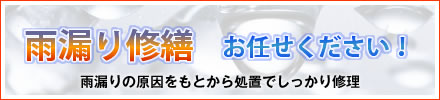 雨漏り修繕はお任せください！雨漏りの原因を基から処置でしっかり修理